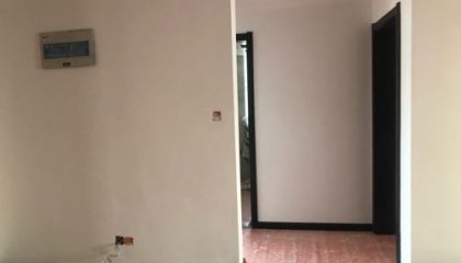 弘陽上湖油漆階段