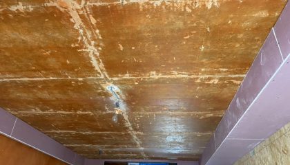 建發泱譽木工階段