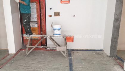 蘇州橄欖灣油漆階段