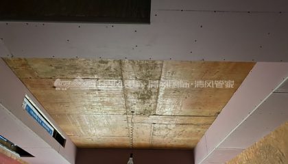 蘇州雅居樂木工階段