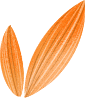 清風裝飾·五一長假裝修惠 | 定金膨脹200倍！